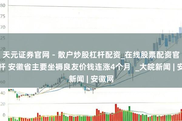 天元证券官网 - 散户炒股杠杆配资_在线股票配资官方杠杆 安徽省主要坐褥良友价钱连涨4个月  _大皖新闻 | 安徽网