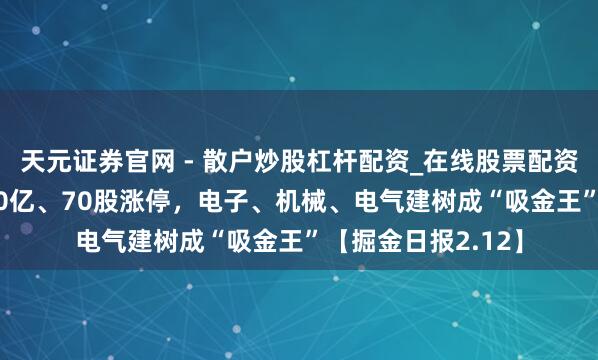 天元证券官网 - 散户炒股杠杆配资_在线股票配资官方杠杆 狂揽700亿、70股涨停，电子、机械、电气建树成“吸金王”【掘金日报2.12】